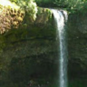 Meet your Posher, Nery